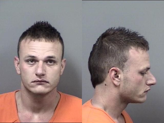 William Vause arrested March 8 on felony charges of aggravated assault with a deadly weapon, possession of a controlled substance and possession of a firearm by a convicted felon, along with misdemeanor domestic battery.